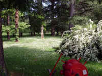 P1030124.JPG (527317 byte)