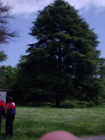 P1030129.JPG (166563 byte)